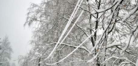 Метеоконсультация ГУ МЧС России по Липецкой области на 1 апреля 2018 г.