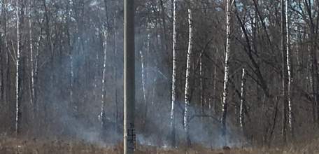 Участились случаи возгорания сухой травы