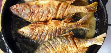 Об актуальности паразитозов, передающихся через рыбу и рыбную продукцию