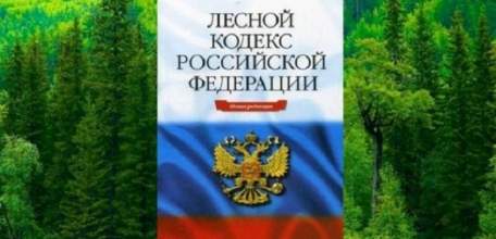 О праве граждан на безвозмездное предоставление 30 кубометров древесины