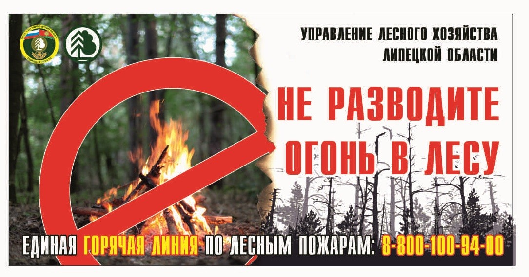 Отменен ли противопожарный режим. Пожарная безопасность в лесах. Противопожарный режим в лесу. Особый противопожарный режи. Противопожарные плакаты в лесу.