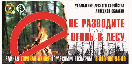 Предупреждение о соблюдении правил пожарной безопасности в лесах Липецкой области