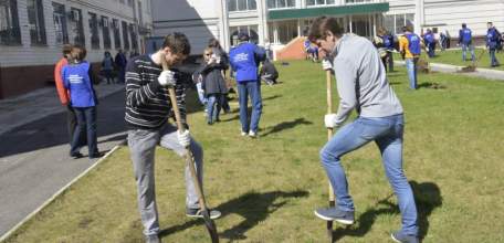 Антоновские яблоки на алее ЕГУ им. И.А.Бунина