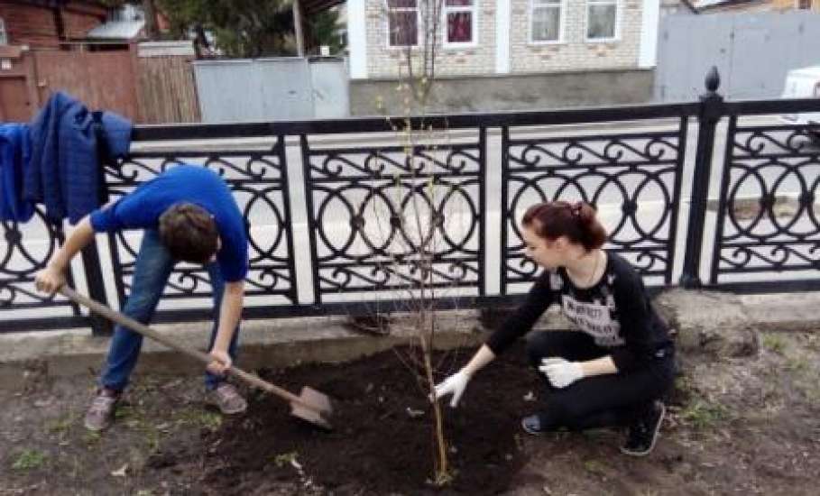 Итоги проведения городской экологической акции «Посади деревце!» среди образовательных учреждений г. Ельца