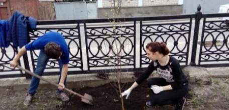 Итоги проведения городской экологической акции «Посади деревце!» среди образовательных учреждений г. Ельца