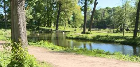 В Петровском парке появится зелёный газон