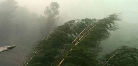 ГУ МЧС России по Липецкой области предупреждает об усилении ветра на территории региона до 17 м/с