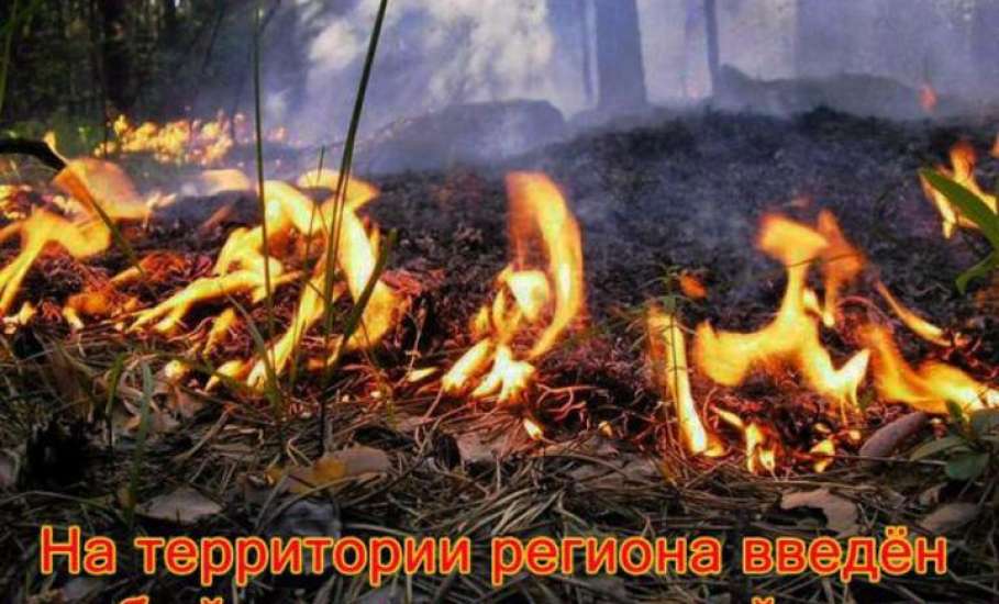 На территории Липецкой области с 11 мая по 31 августа 2018 года введён особый противопожарный режим