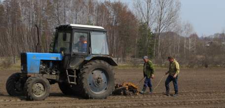 Лесоводы Липецкой области завершили весеннюю посадку