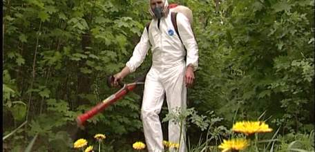 В Ельце в зонах отдыха проведена противоклещевая обработка