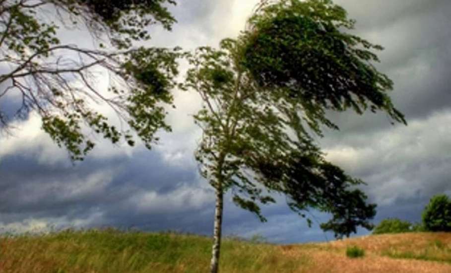 МЧС предупреждает об усилении ветра на территории Липецкой области до 17 м/с