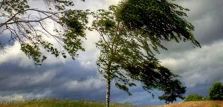 МЧС предупреждает об усилении ветра на территории Липецкой области до 17 м/с