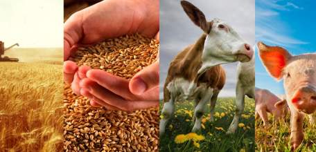 Развитие заготовительной деятельности в Елецком районе