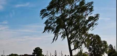 29 и 30 мая в Липецкой области ожидается погода с неблагоприятными метеоусловиями