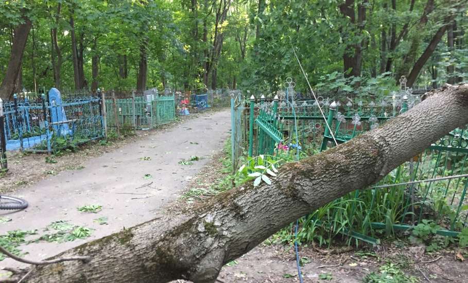 В Ельце на старом кладбище дерево упало, перекрыв дорогу!
