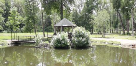 Ельчан призывают сохранить водных обитателей прудов в Петровском парке