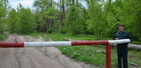 В Липецкой области введено ограничение на посещение лесов