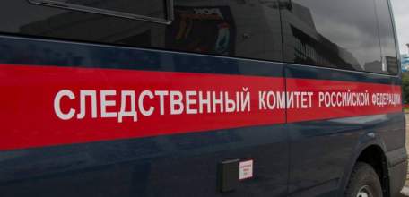 В Липецкой области возбуждено уголовное дело по факту смерти младенца в медучреждении города Ельца