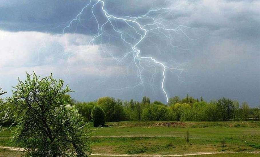 В период с 29 июня по 1 июля в Липецкой области ожидается переменная облачность, кратковременный дождь и гроза