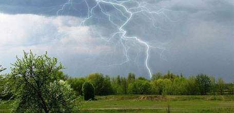 В период с 29 июня по 1 июля в Липецкой области ожидается переменная облачность, кратковременный дождь и гроза