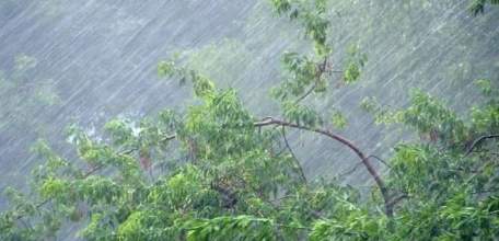 8 июля в Липецкой области ожидается гроза и усиление западного ветра с порывами до 17 м/с