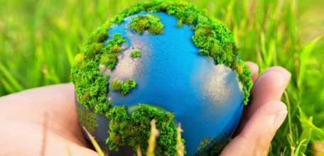 В первом полугодии 2018 года в Липецкой области проведено 1383 мероприятия по надзору в сфере экологии