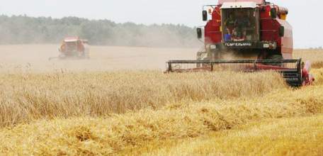 В Липецкой области стартовала уборочная кампания