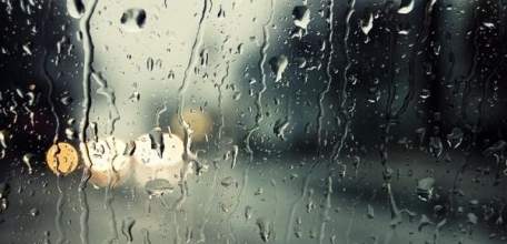 Дождливая погода ещё задержится в Липецкой области