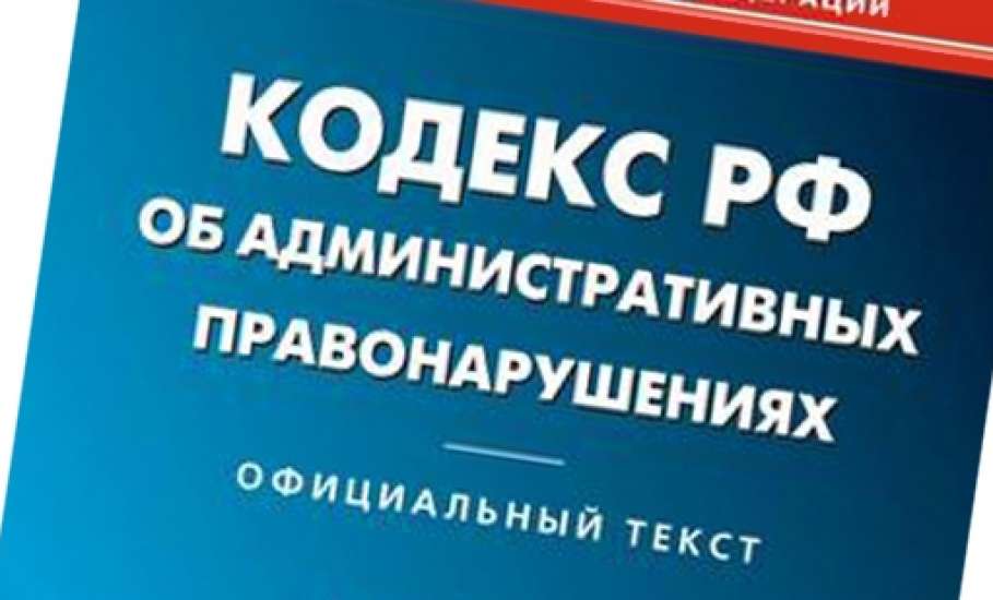 Административная ответственность за непринятие мер по обеспечению своевременного выезда приглашённого лица и несоблюдение им заявленной цели въезда в Российскую Федерацию