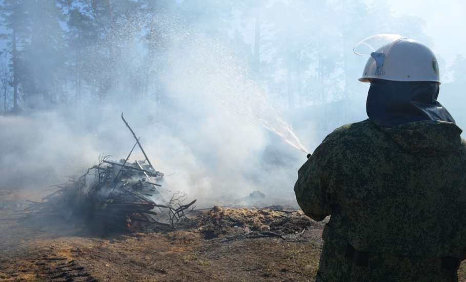 В Липецкой области установилась высокая пожарная опасность в лесах