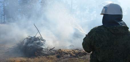 В Липецкой области установилась высокая пожарная опасность в лесах