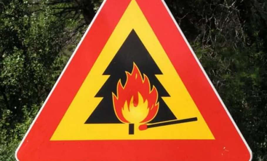 МЧС предупреждает о высокой пожароопасности лесов