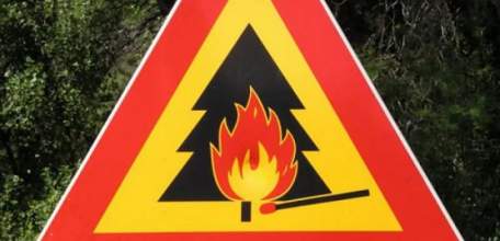 МЧС предупреждает о высокой пожароопасности лесов