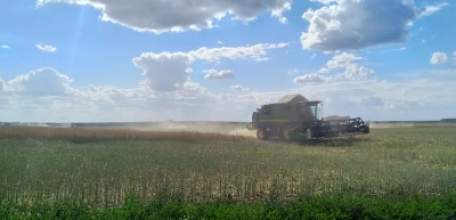 70 % площадей зерновых культур убрано в Елецком районе