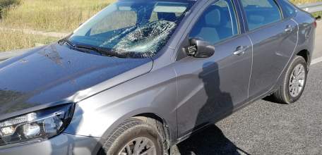 В Ельце на автодороге &laquo;Дон&raquo; пешеход попал под машину