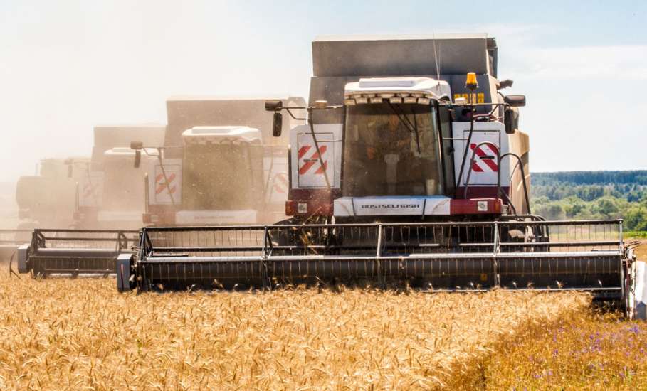 Зерновые в Липецкой области убраны с 70% площадей