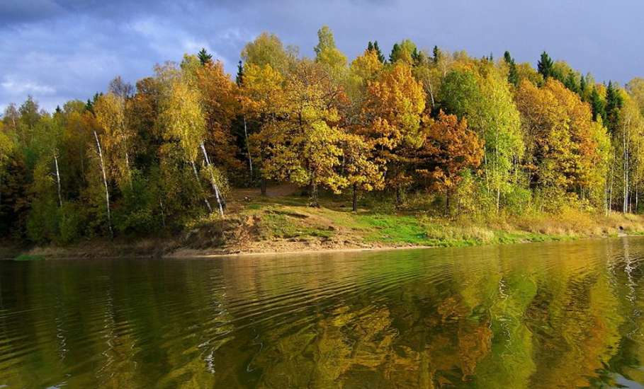 В Липецкой области нарушители природоохранного законодательства в июле оштрафованы на общую сумму 434,5 тыс. рублей