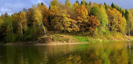 В Липецкой области нарушители природоохранного законодательства в июле оштрафованы на общую сумму 434,5 тыс. рублей