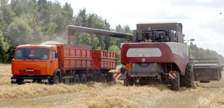 В Липецкой области завершается уборка зерновых и зернобобовых культур