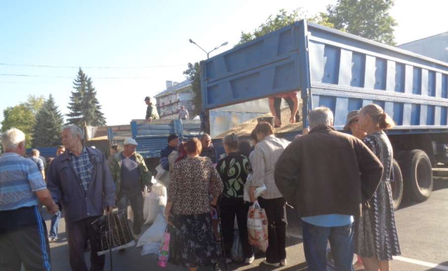 В Ельце прошла областная ярмарка накануне Дня города