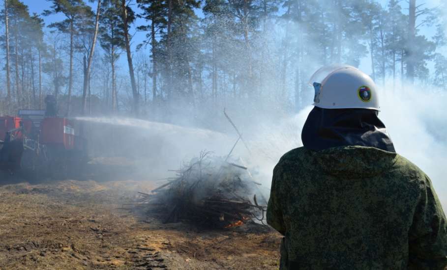 С 28 августа по 17 сентября в Липецкой области введено ограничение на посещение лесов