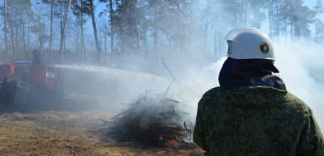 С 28 августа по 17 сентября в Липецкой области введено ограничение на посещение лесов